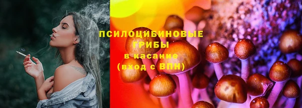 2c-b Дмитриев