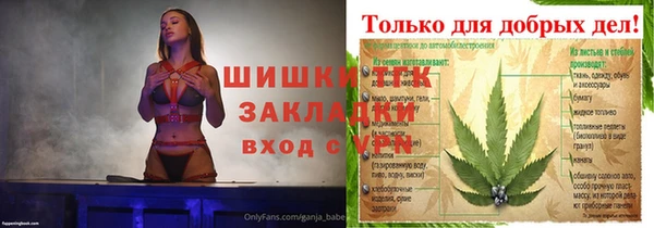 2c-b Дмитриев