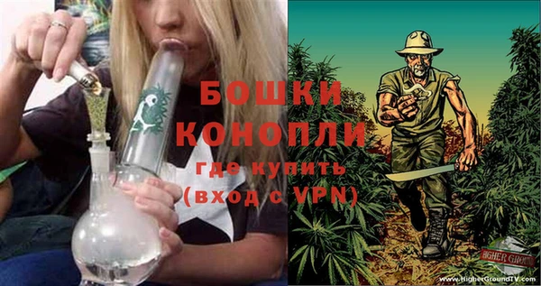 эйфоретик Дмитров