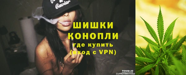 эйфоретик Дмитров