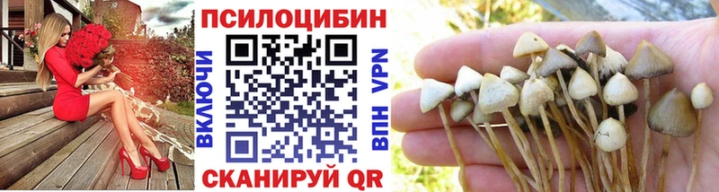 даркнет официальный сайт Зубцов Галлюциногенные грибы GOLDEN TEACHER купить наркотик